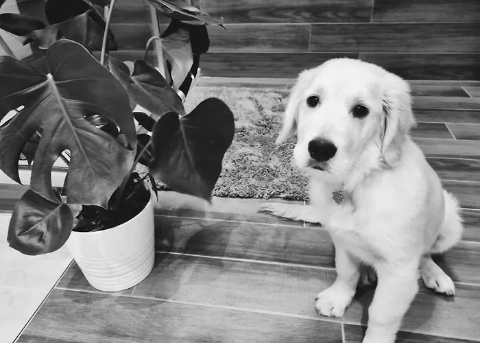 Ca' Hygge Appartamento Lavagna